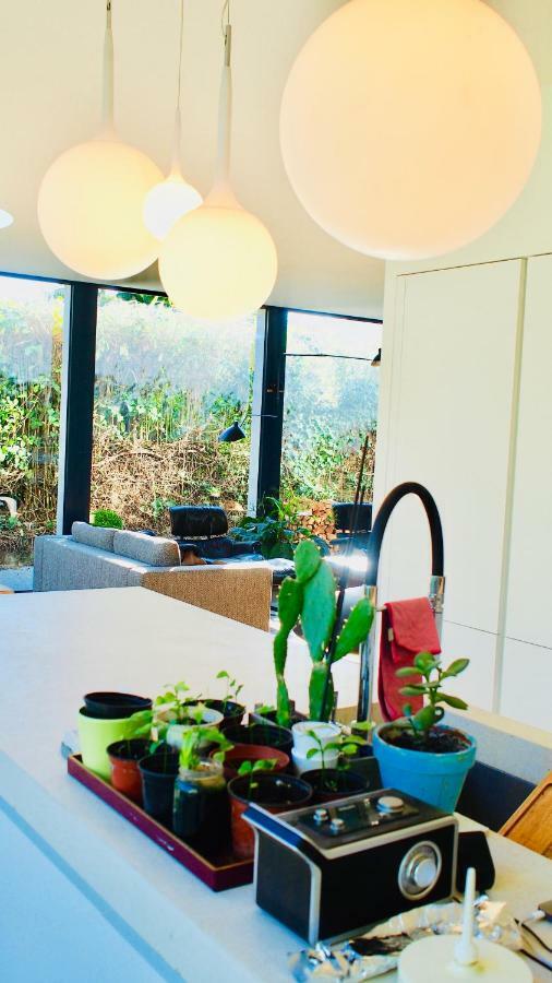 Oasis De Cauderan Villa Bordeaux Dış mekan fotoğraf